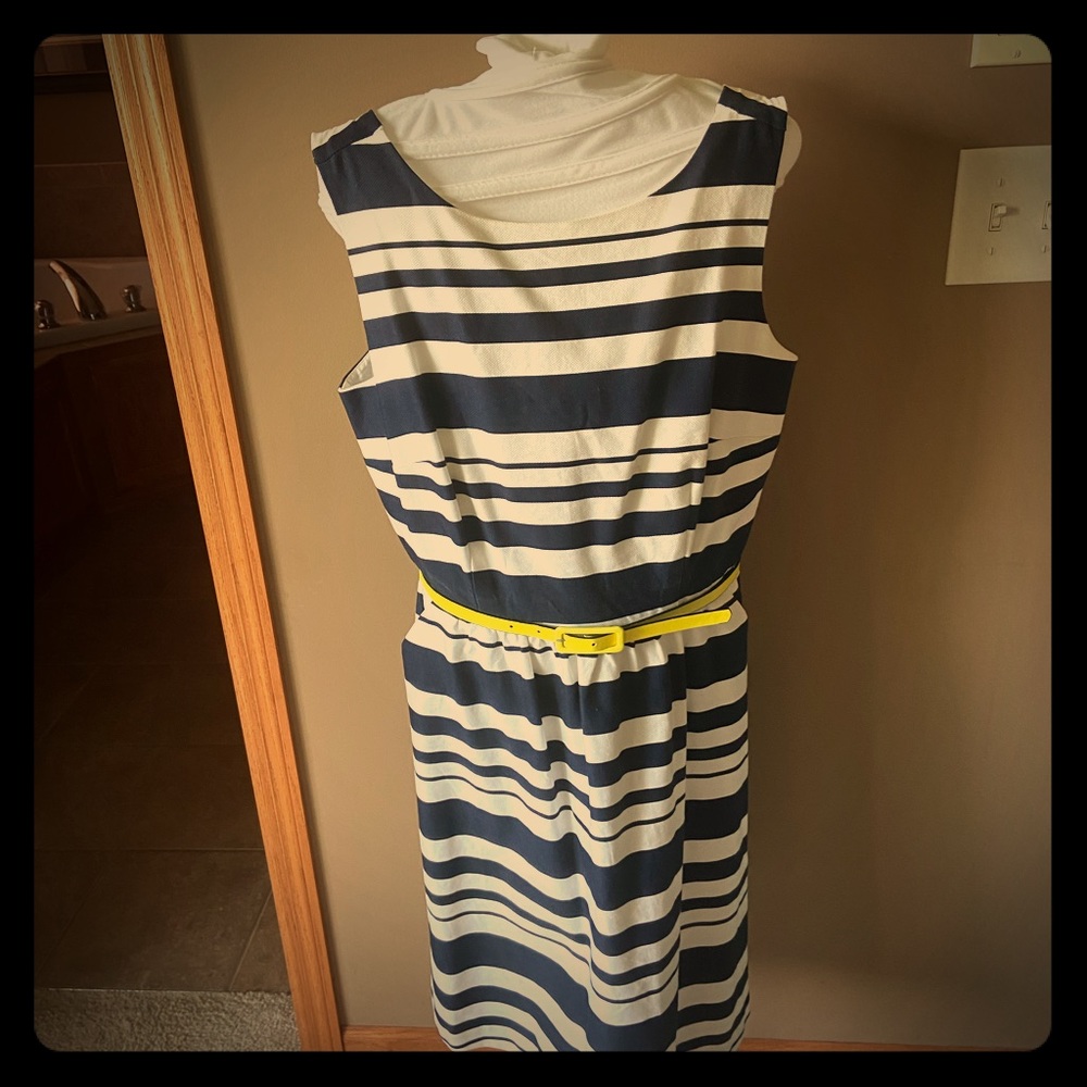 Limited Navy and Cream Belted Dress